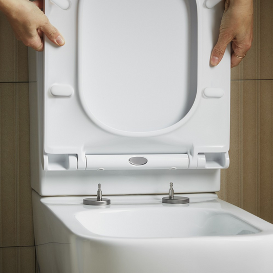 D Shape Quick Release Toilet Seat Soft Close