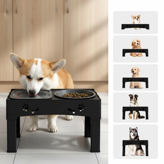 Raised Dog Bowl Stand for Cats and Dogs Pet Feeder