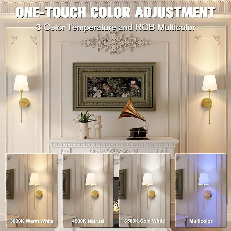 2pcs Rechargeable Wall Mounted Light, RGB Color