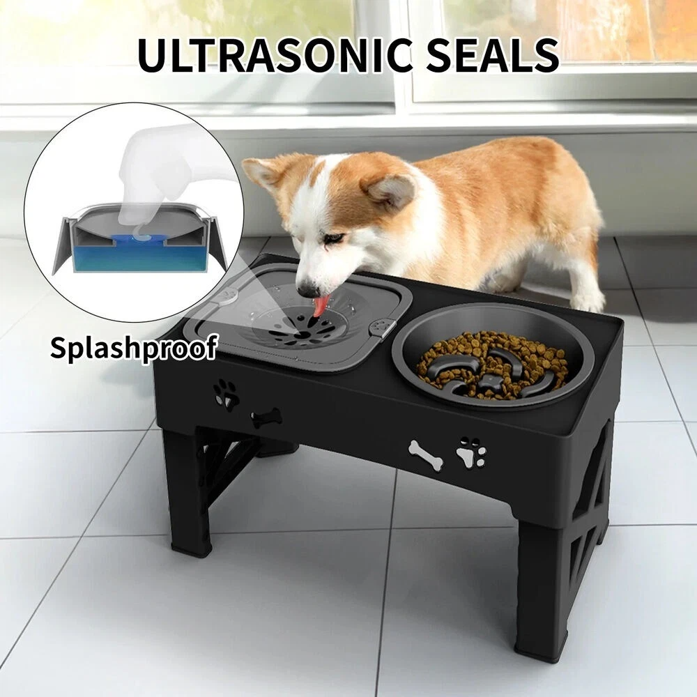 Raised Dog Bowl Stand for Cats and Dogs Pet Feeder