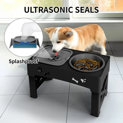 Raised Dog Bowl Stand for Cats and Dogs Pet Feeder