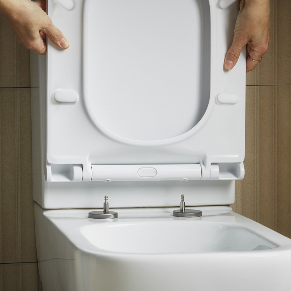 Soft Close Quick-Release Toilet Seat And Cover
