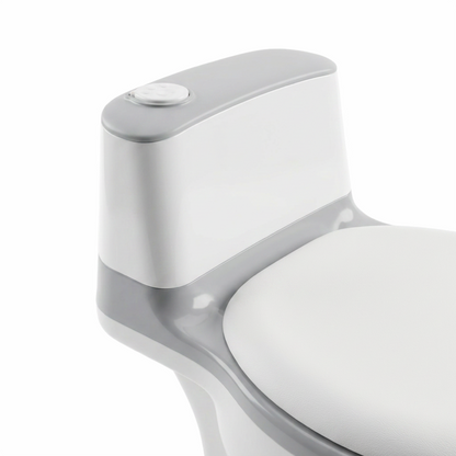 Potty Training Toilet Seat for Toddlers